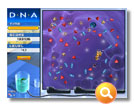 D.N.A. Screenshot 2