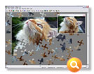 Jigsaw Mania Screenshot 3