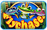 Download Fly Chaser Game