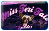 Download Miss Teri Tale Game