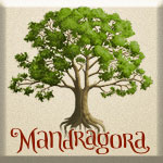Mandragora