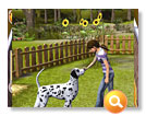 Doggie Daycare Screenshot 2