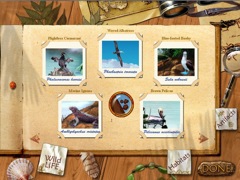 Paradise Quest Screenshot 3