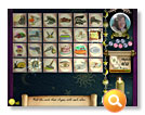 Lost Fortunes Screenshot 1