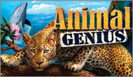 Animal Genius