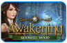 Download Awakening the Moonfell Wood Game