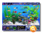Fish Tycoon Screenshot 1