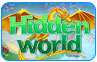 Download Hidden World Game